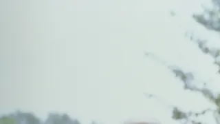 To je vražda, napsala (7)