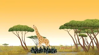 Kirikou v divočině