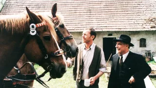 Vůně vanilky