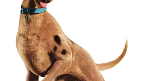 Scooby-Doo