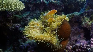 Poslední přírodní ráje II (3/3)