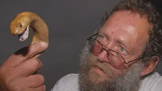 Hlubiny a posedlosti: Zaříkávač Andre Hartman
