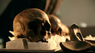 Masakr na řece Tollense (2/2)