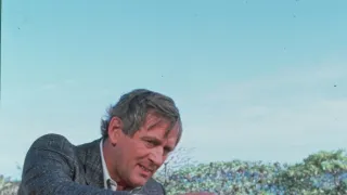 To je vražda, napsala II (1)