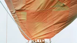 Rex felügyelő IV (6)