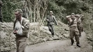 Das Reich: Hitlerova divize smrti ve Francii (2/2)