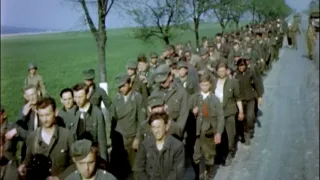 Das Reich: Hitlerova divize smrti ve Francii (2/2)