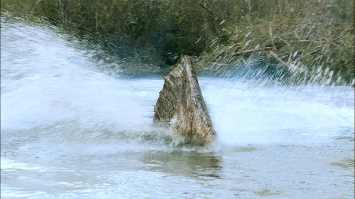 Predátor z hlubin (Frankenfish), 2004 - fotogaléria