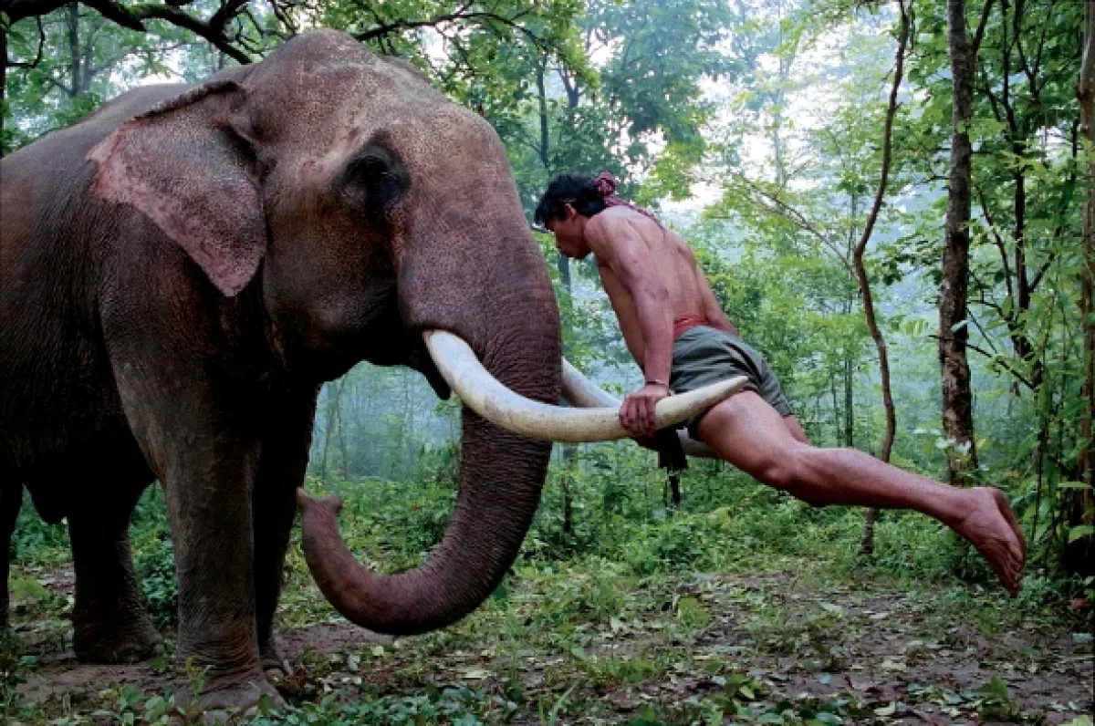 Ong-Bak 2 (The Protector), 2005 - fotogaléria