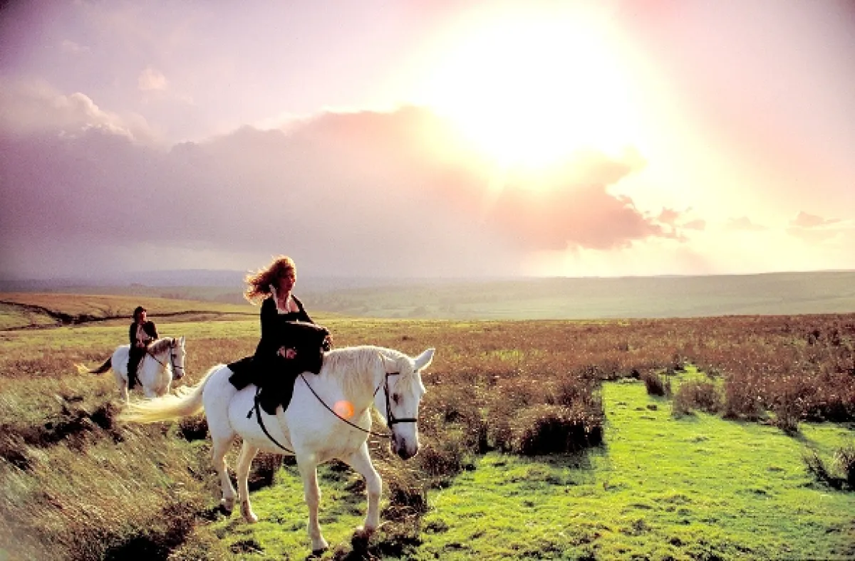 Búrlivé výšiny (Wuthering Heights), 1992 - fotogaléria