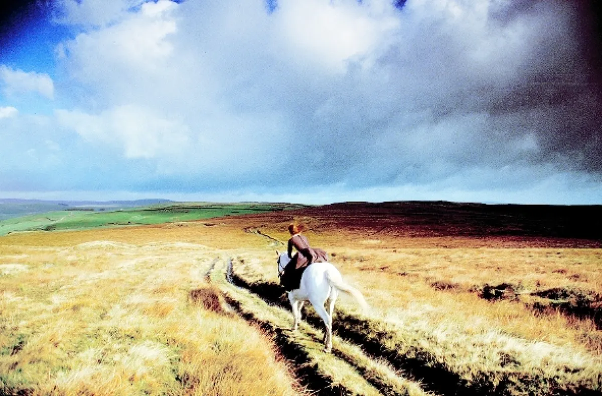 Búrlivé výšiny (Wuthering Heights), 1992 - fotogaléria