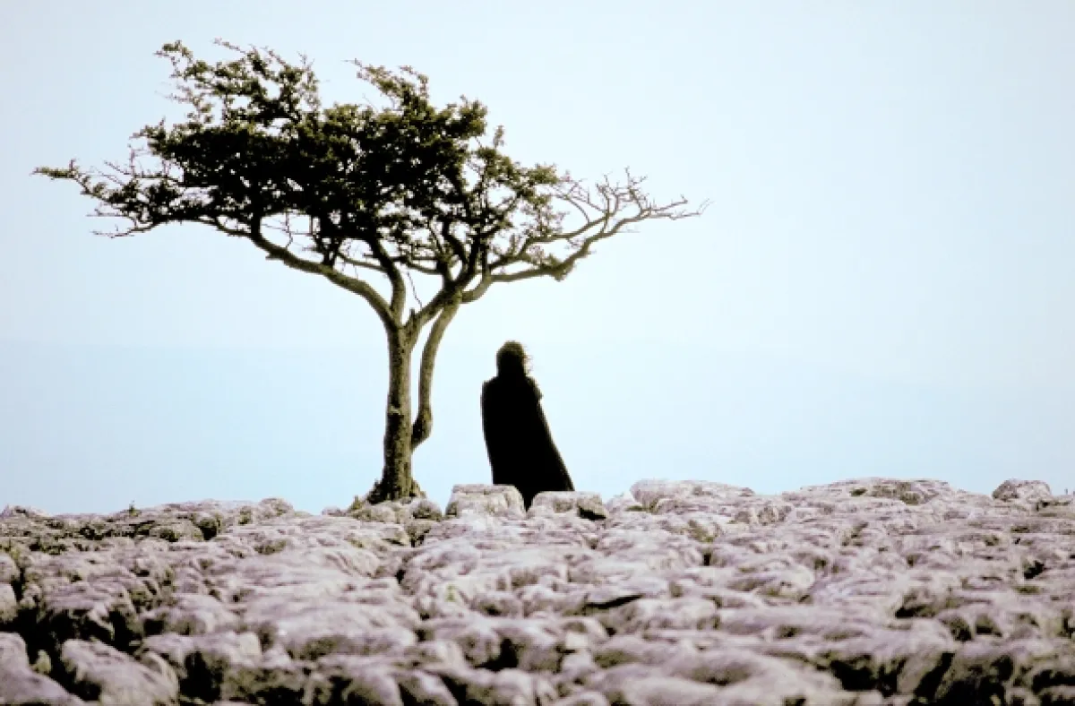 Búrlivé výšiny (Wuthering Heights), 1992 - fotogaléria