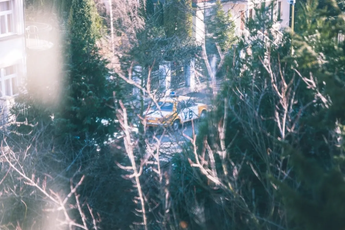 Svět pod hlavou (SVĚT POD HLAVOU), 2017 - fotogaléria
