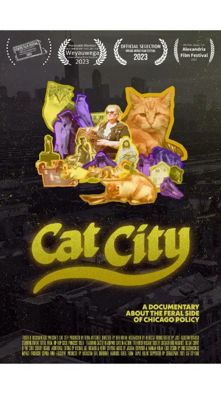 Projekt Cat City (Cat City), 2008 - fotogaléria