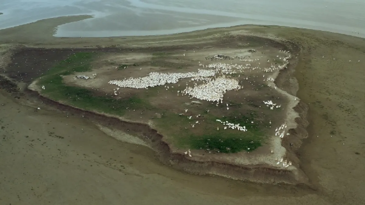 Ostrov pelikánů (Mystery of Pelican Island), 2023 - fotogaléria
