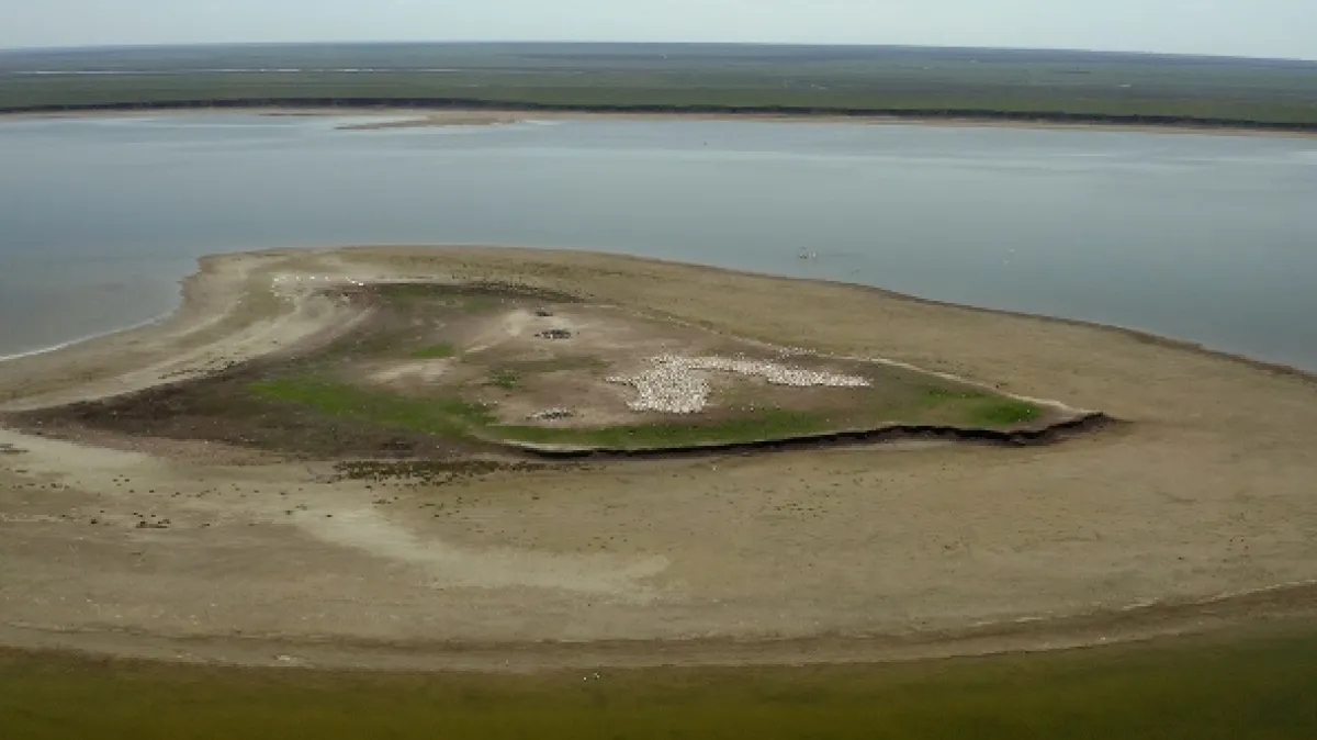 Ostrov pelikánů (Mystery of Pelican Island), 2023 - fotogaléria