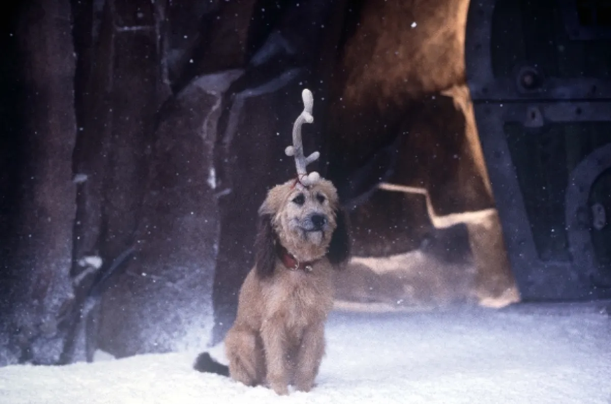 Grinch (How the Grinch Stole Christmas), 2000 - fotogaléria