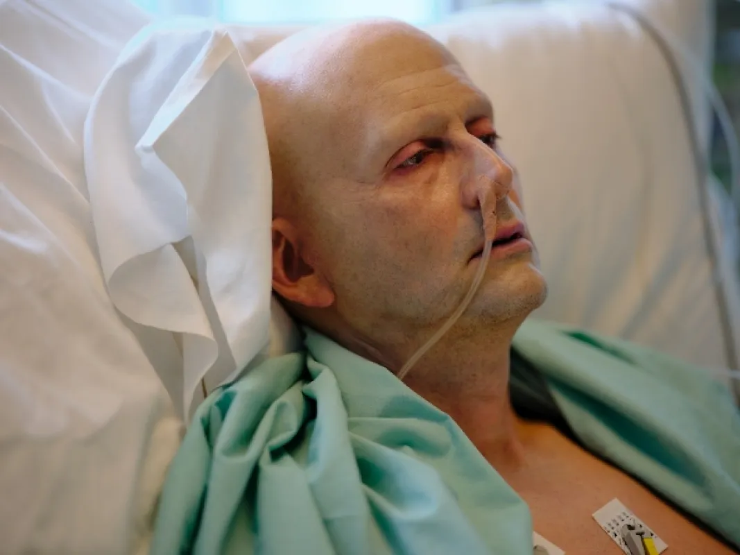 Litvinenko, 2022 - fotogaléria