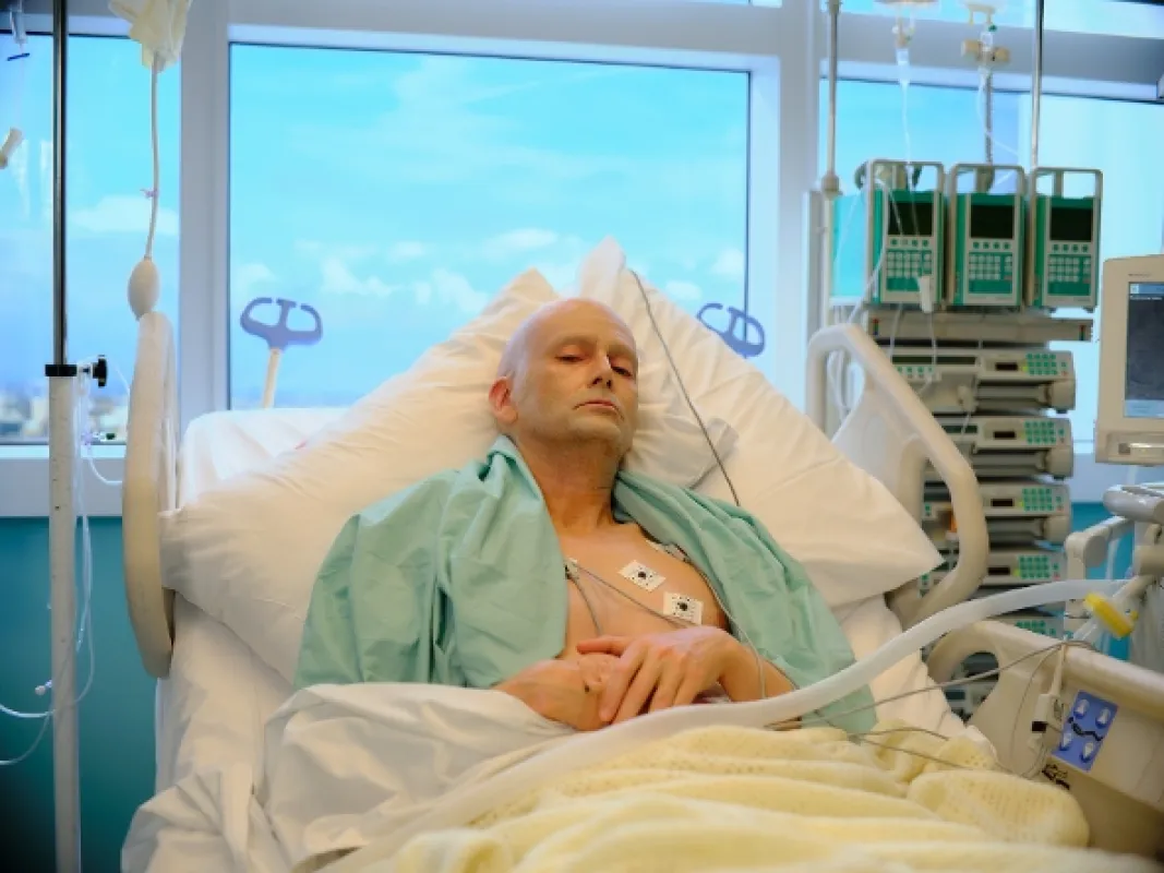 Litvinenko, 2022 - fotogaléria