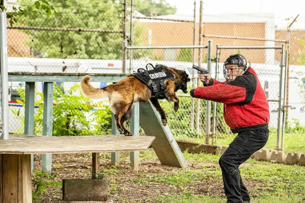 K9: Oceľový tesák (Muzzle), 2023 - fotogaléria