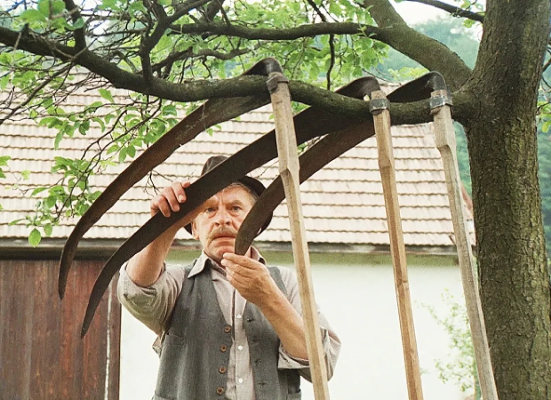 Kosenie Jastrabej lúky, 1981 - fotogaléria