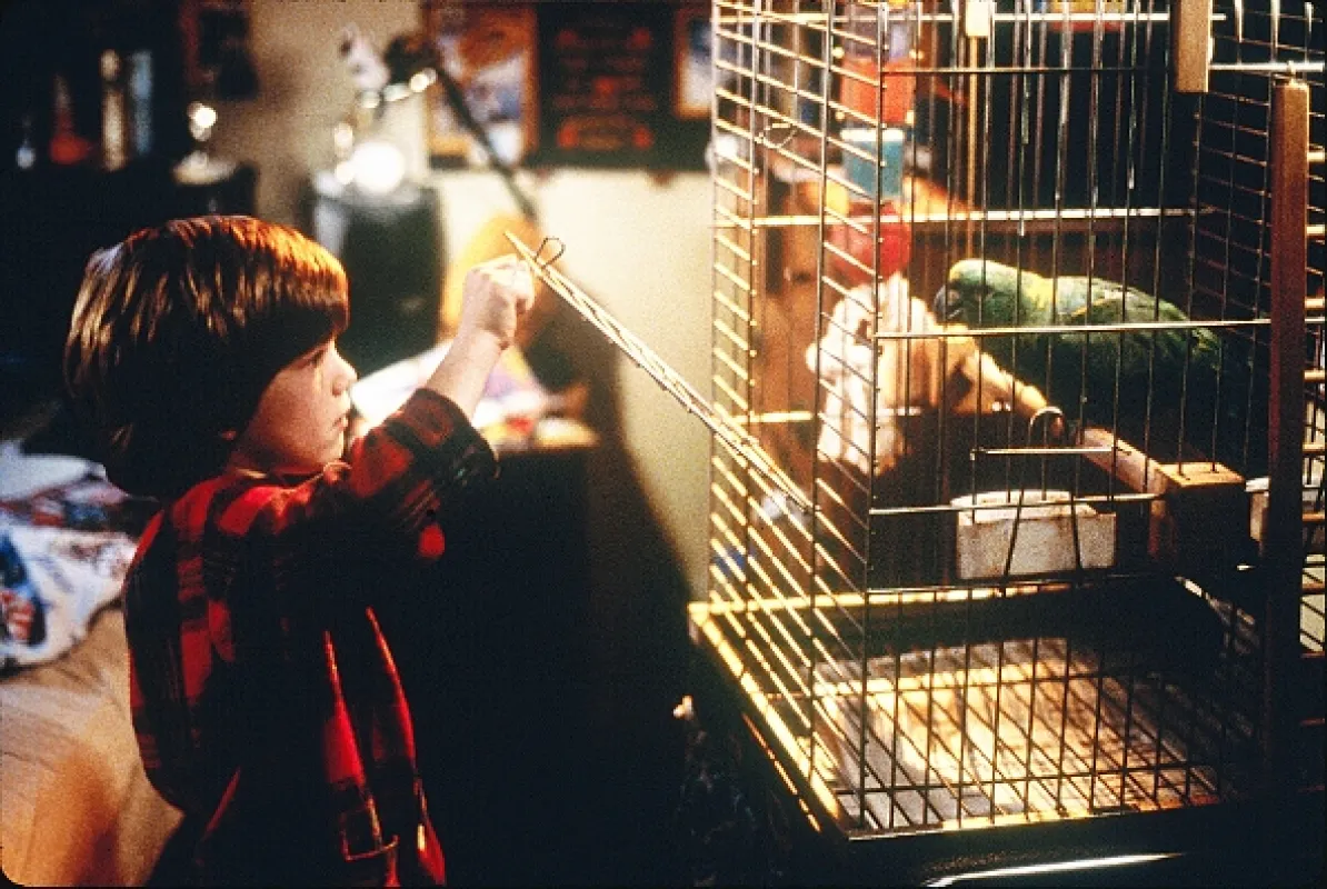 Sám doma 3 (Home Alone 3), 1997 - fotogaléria