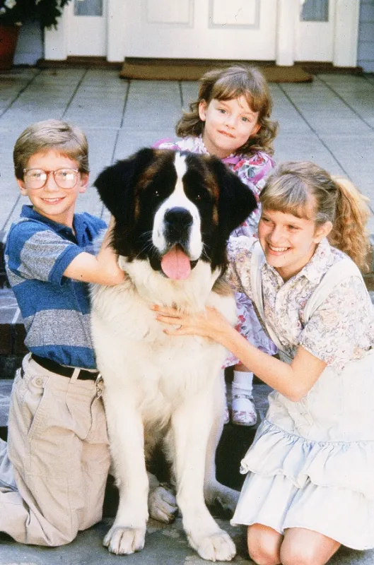 Beethoven, 1992 - fotogaléria
