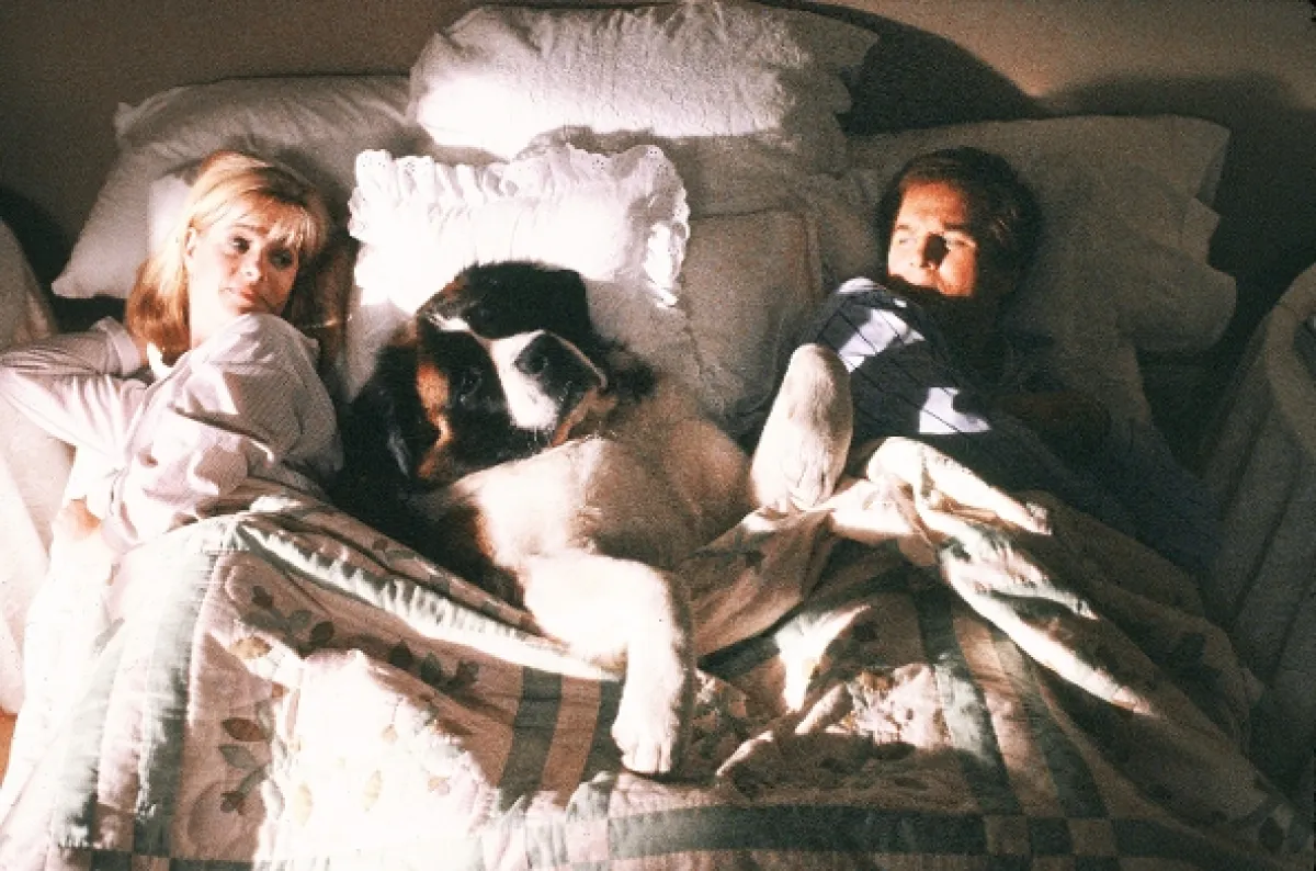 Beethoven, 1992 - fotogaléria