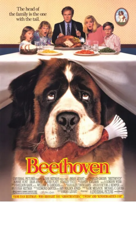 Beethoven, 1992 - fotogaléria