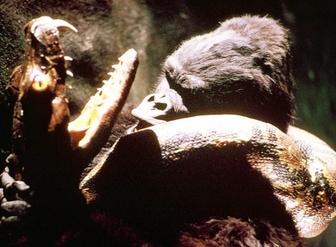 King Kong, 1976 - fotogaléria