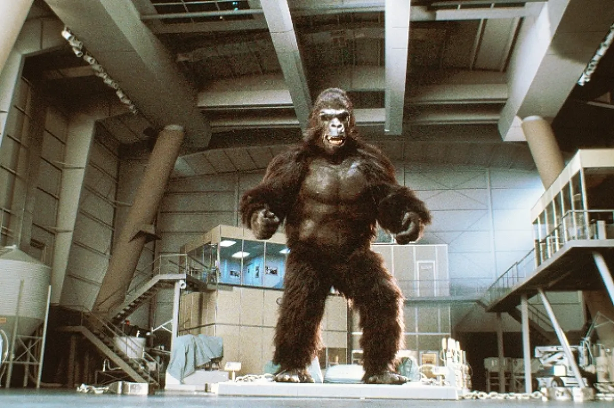 King Kong, 1976 - fotogaléria