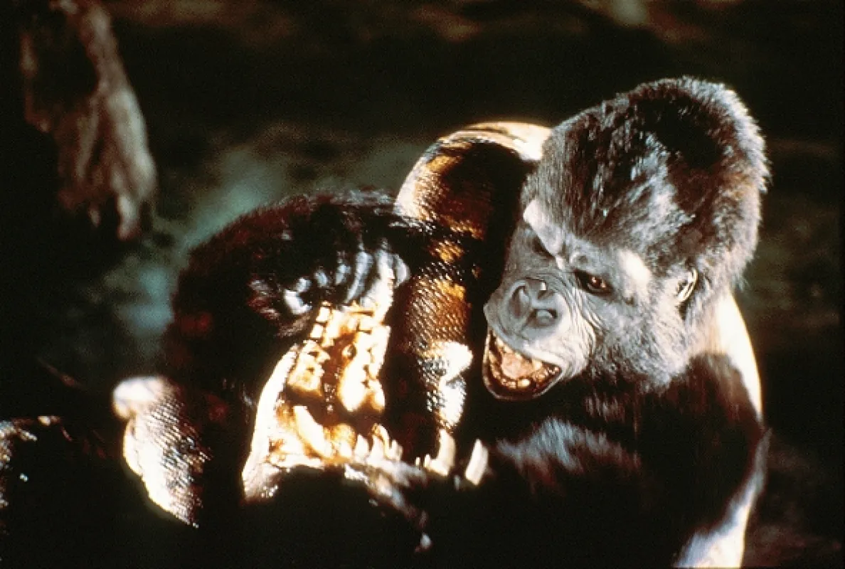 King Kong, 1976 - fotogaléria