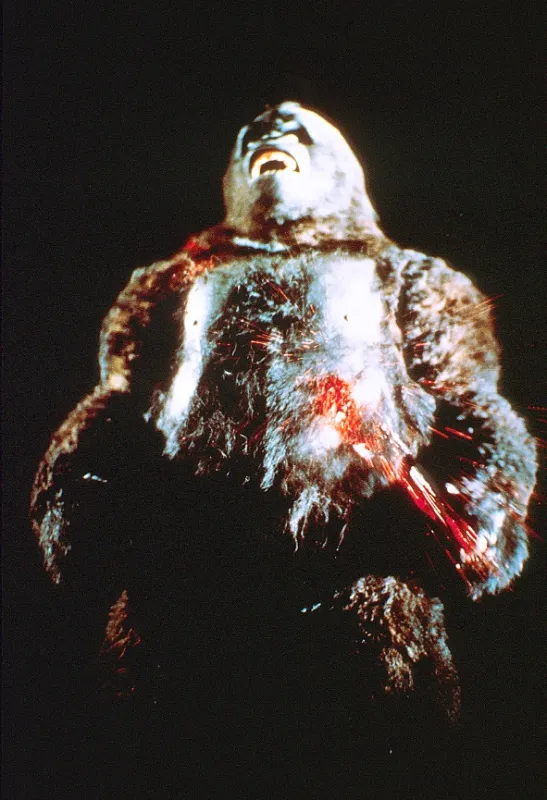 King Kong, 1976 - fotogaléria