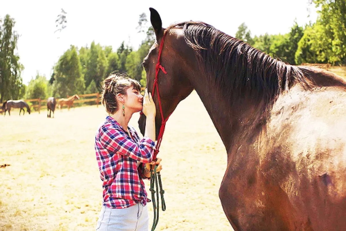 Uzly a pomaranče, 2018 - fotogaléria