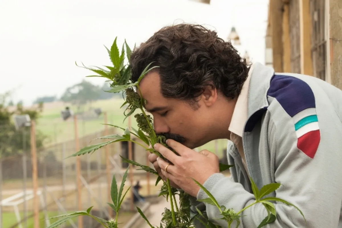 Narcos, 2015 - fotogaléria
