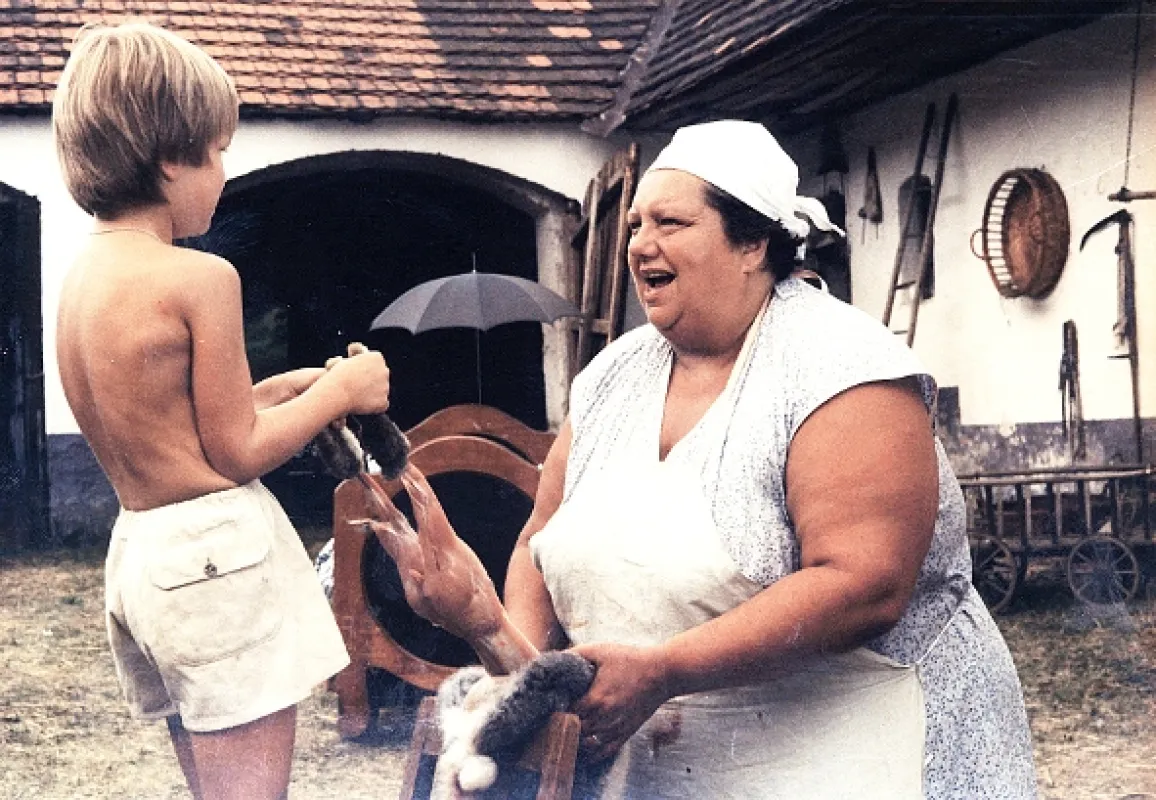 Slunce, seno, jahody, 1983 - fotogaléria