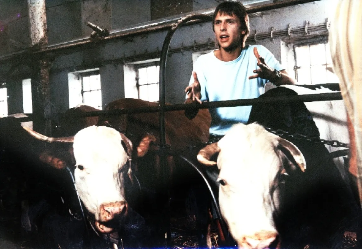 Slunce, seno, jahody, 1983 - fotogaléria