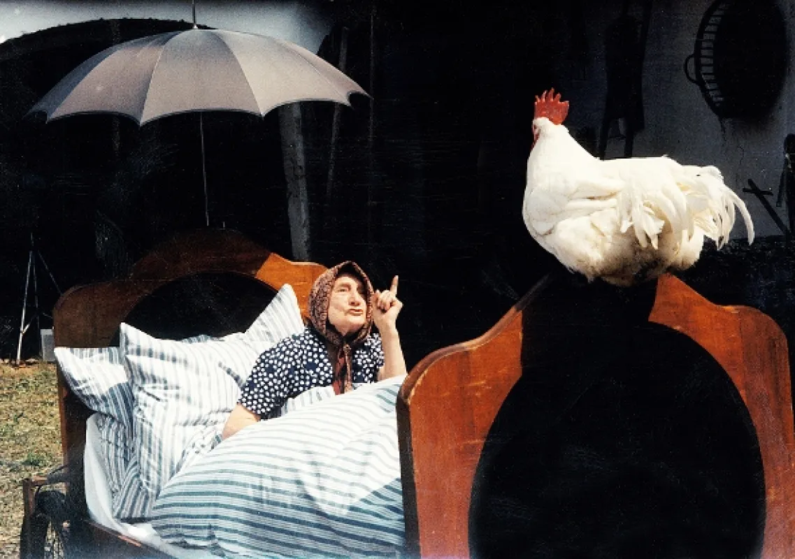 Slunce, seno, jahody, 1983 - fotogaléria