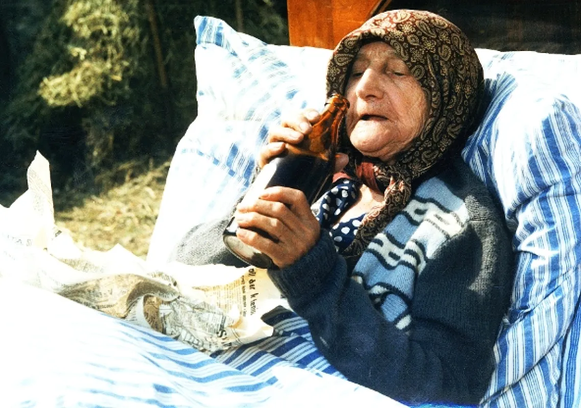 Slnko, seno, jahody (Slunce, seno, jahody), 1983 - fotogaléria