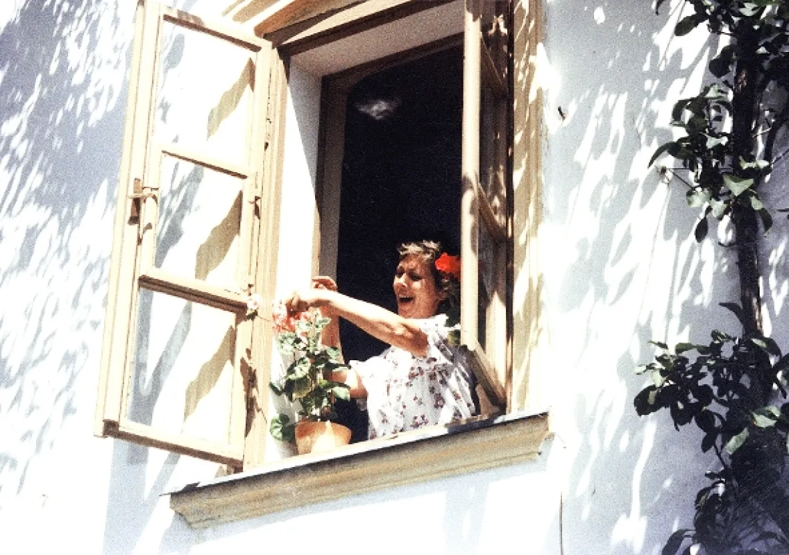 Slnko, seno, jahody (Slunce, seno, jahody), 1983 - fotogaléria