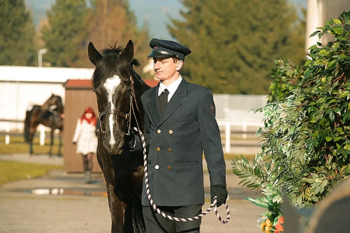 Znamenie koňa - fotogaléria