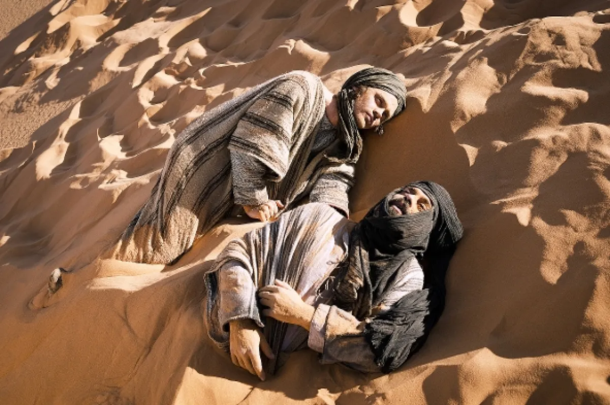Liečiteľ (The Physician), 2013 - fotogaléria