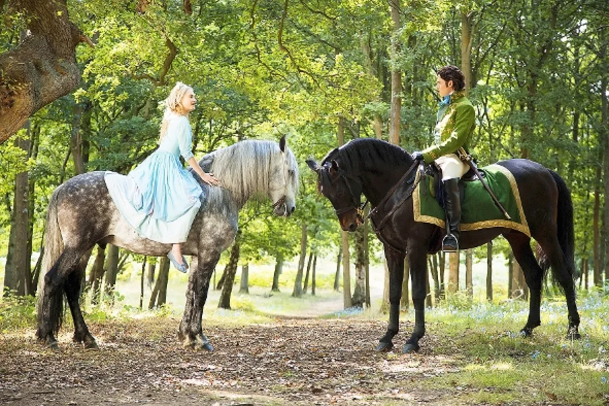 Popelka (Cinderella), 2015 - fotogaléria