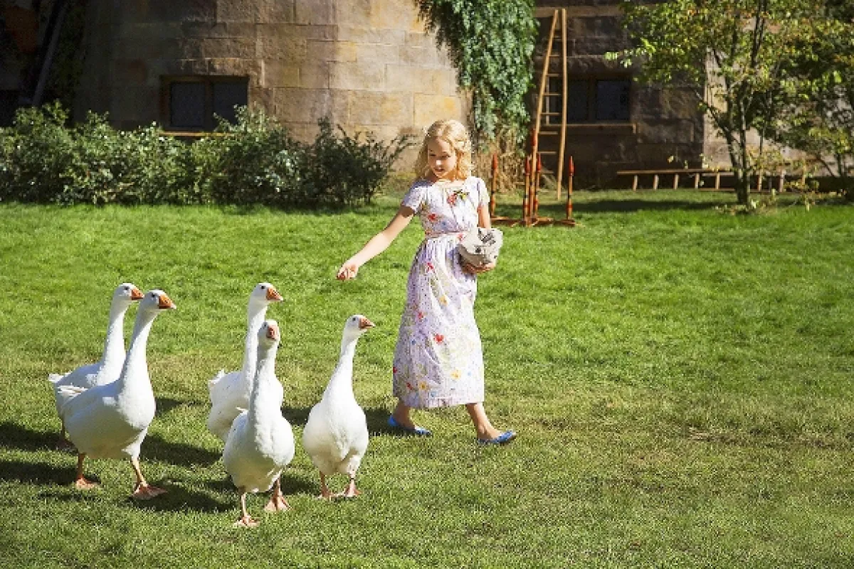 Popelka (Cinderella), 2015 - fotogaléria