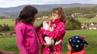 Plné hniezdo v Zlínskom kraji 2