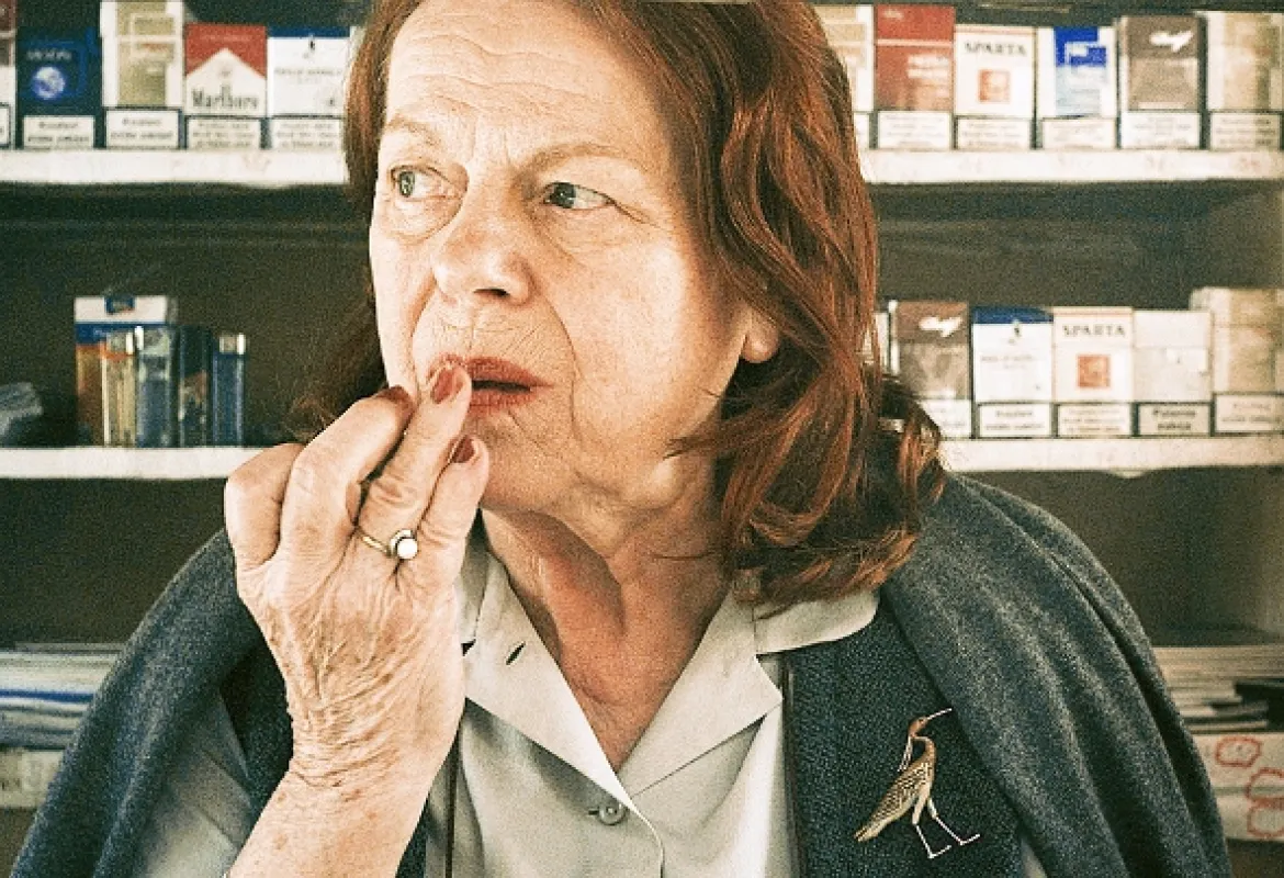 Všiváci, 2014 - fotogaléria