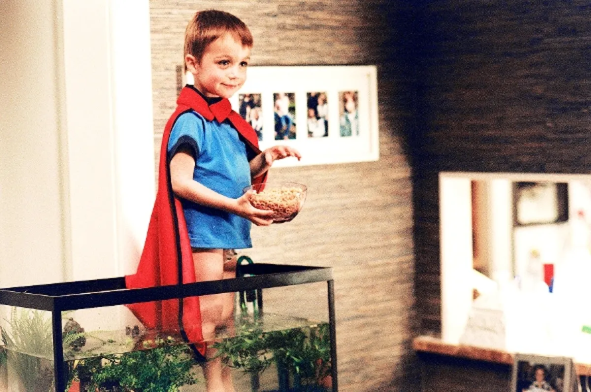 Ochránce (The Pacifier), 2005 - fotogaléria