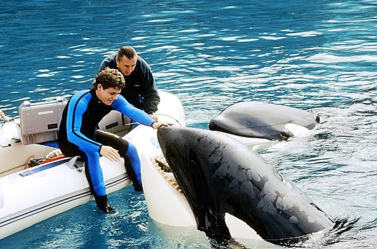 Zachráňte Willyho 3 (Free Willy 3: The Rescue), 1997 - fotogaléria
