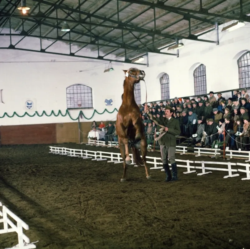 Dobrá Voda, 1982 - fotogaléria