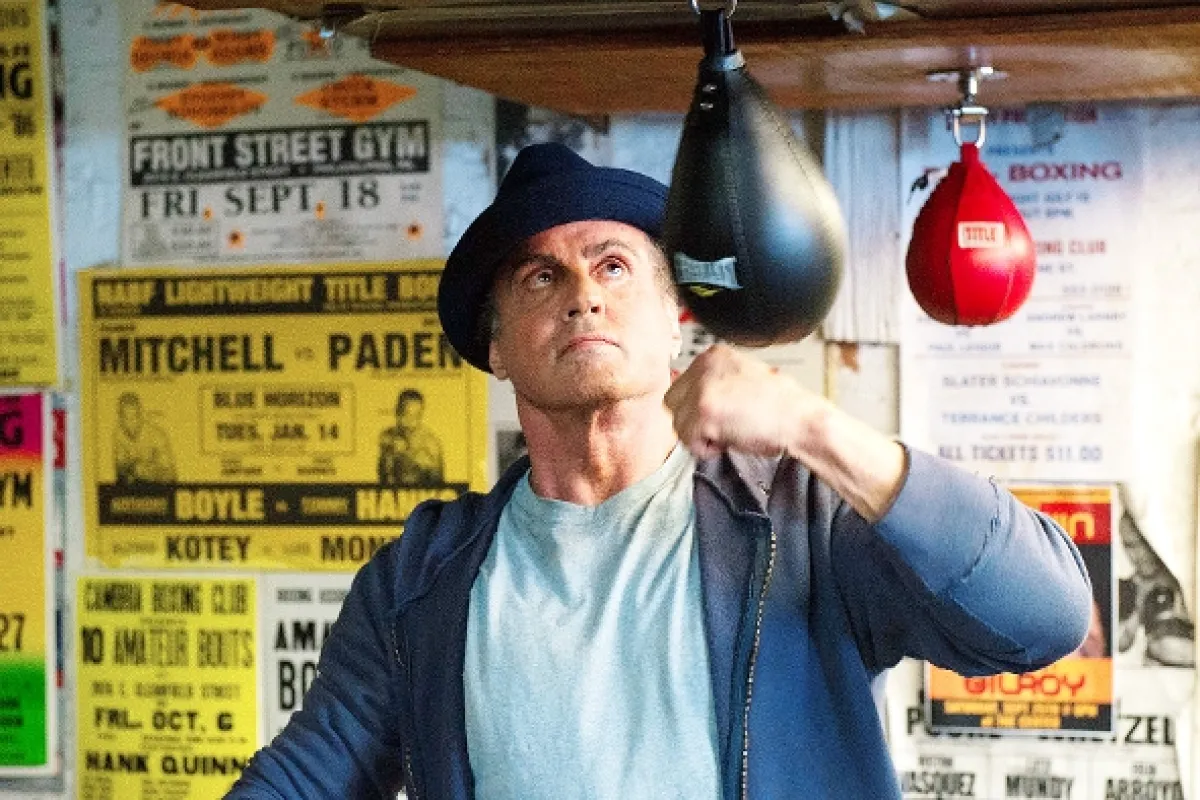 Rocky: Nová krev (Creed), 2015 - fotogaléria